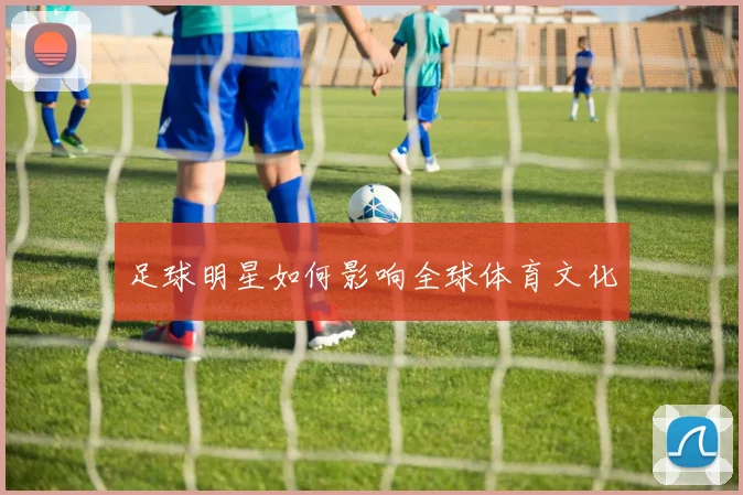 足球明星如何影响全球体育文化
