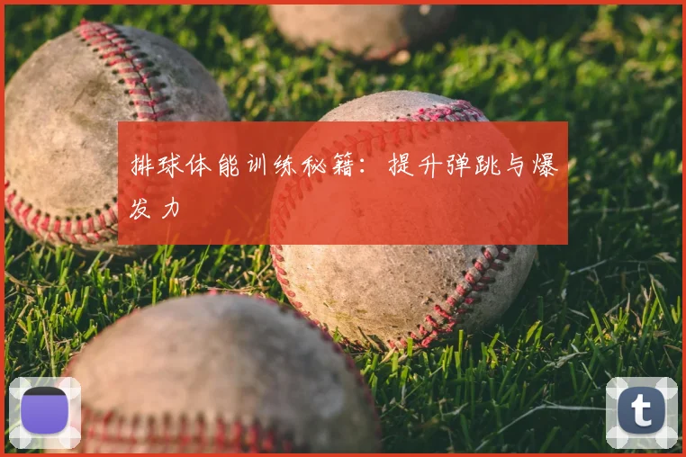 排球体能训练秘籍：提升弹跳与爆发力